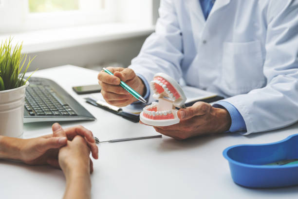 Professional  Holistic Dental Services in Marlboro Meadows, MD