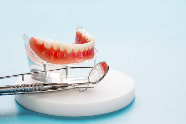  Marlboro Meadows, MD Holistic Dental Services Pros
